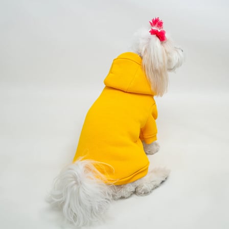 Sarı Baskısız Kedi ve Köpek Sweatshirt Hoodie