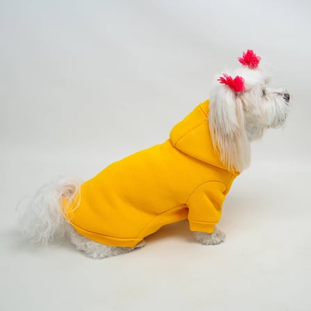Sarı Baskısız Kedi ve Köpek Sweatshirt Hoodie