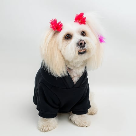 Siyah Baskısız Kedi ve Köpek Sweatshirt Hoodie