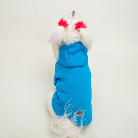 Mavi Baskısız Kedi ve Köpek Sweatshirt Hoodie