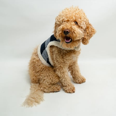 Kedi & Köpekler için Oduncu Yeleği (Çevresi Peluş)