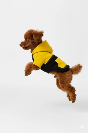 Kontrast Koleksiyon Kapüşonlu Köpek Hoodie – Rahat Sweatshirt