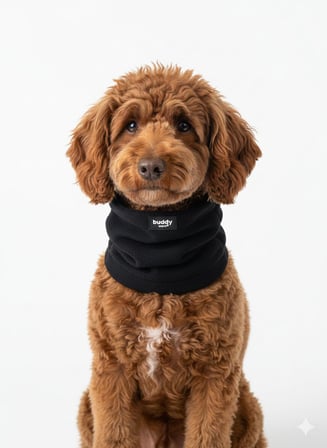 Buddy NeckShield - Boyunluk