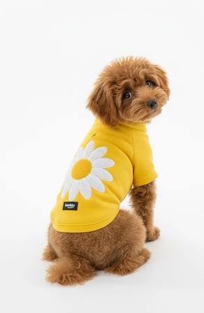 Sarı Hakim Yaka Comfort Fit Köpek Sweat Ceketi (WarmFlex Koleksiyonu)