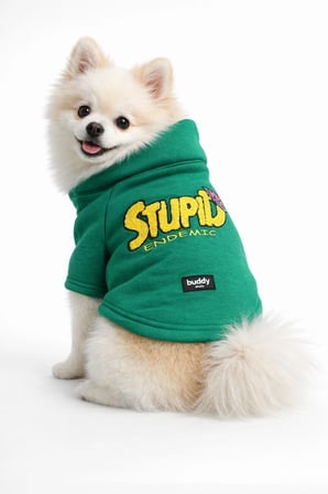 Yeşil Hakim Yaka Comfort Fit Köpek Sweat Ceketi (WarmFlex Koleksiyonu)
