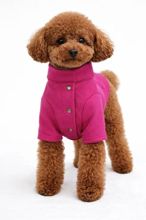 Fuşya Hakim Yaka Comfort Fit Köpek Sweat Ceketi (WarmFlex Koleksiyonu)