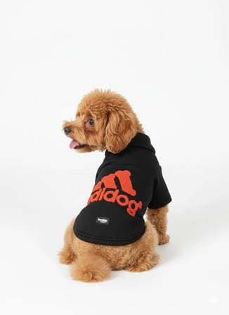 Siyah Hakim Yaka Comfort Fit Köpek Sweat Ceketi (WarmFlex Koleksiyonu)