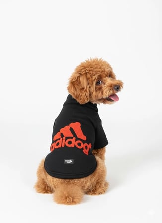 Siyah Hakim Yaka Comfort Fit Köpek Sweat Ceketi (WarmFlex Koleksiyonu)