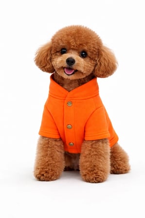 Turuncu Hakim Yaka Comfort Fit Köpek Sweat Ceketi (WarmFlex Koleksiyonu)