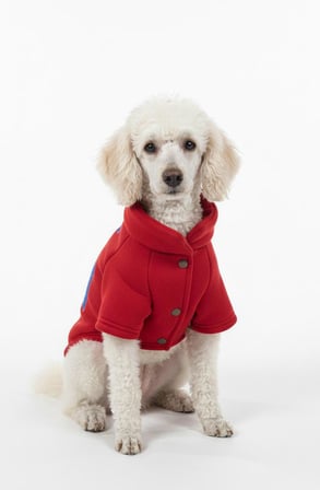 Kırmızı Hakim Yaka Comfort Fit Köpek Sweat Ceketi (WarmFlex Koleksiyonu)