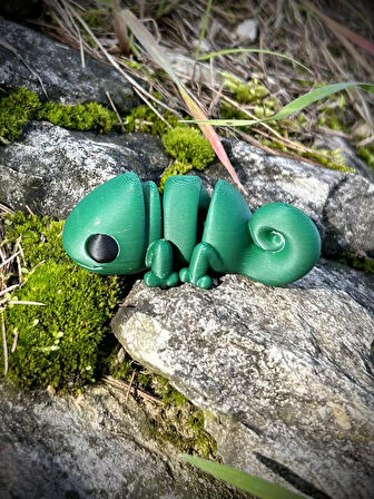 Bukalemun Oyuncak - Doğanın Büyülü Ustası! 🦎🌿✨3D Hareketli Organik Model - Orta Boy