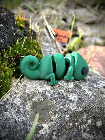 Bukalemun Oyuncak - Doğanın Büyülü Ustası! 🦎🌿✨3D Hareketli Organik Model - Orta Boy