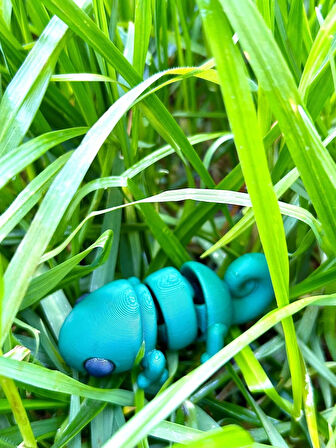 Bukalemun Oyuncak - Doğanın Büyülü Ustası! 🦎🌿✨3D Hareketli Organik Model - Orta Boy