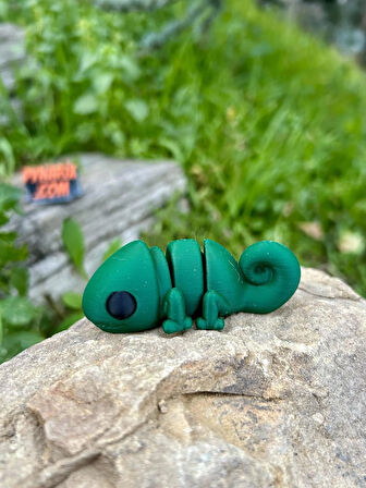 Bukalemun Oyuncak - Doğanın Büyülü Ustası! 🦎🌿✨3D Hareketli Organik Model - Orta Boy