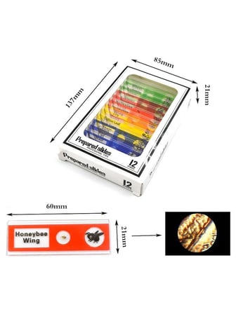 Luve Store Çocuk Mikroskop Seti 1200X Büyütmeli LED Işıklı Eğitici Bilim Deney Kiti Hazır Preparatlı
