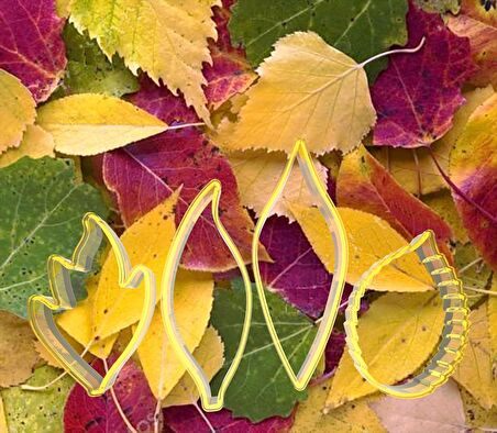 Yapraklar Çiçek Yapım Seti 4'lü