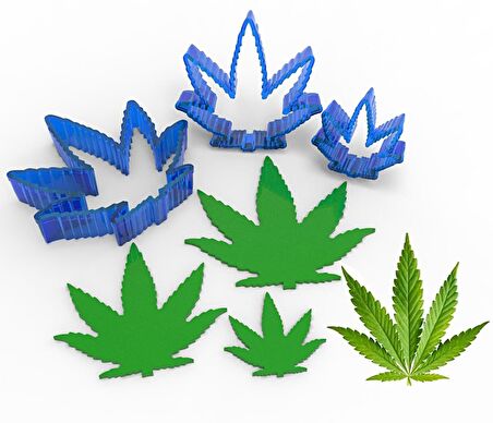 Mariana Yaprak Yapım Seti 3'lü