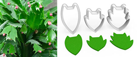 NOEL KAKTÜS BÜYÜK BOY Çiçek Yaprak Kesici Set 3’lü – 6cm