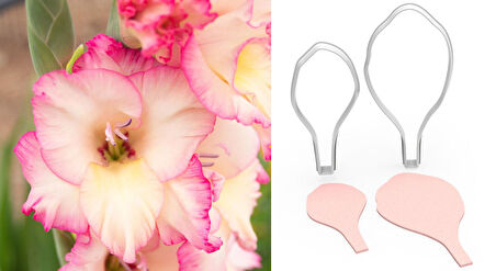 GLADIOLUS Glayöl Çiçek Kesici Set 2’li – 8cm