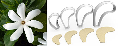 GARDENYA BÜYÜK BOY Çiçek Kesici Set 4’lü – 10cm