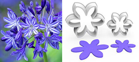 AGAPANTHUS Şefkat BÜYÜK BOY Çiçek Kesici Set 2’li – 6cm