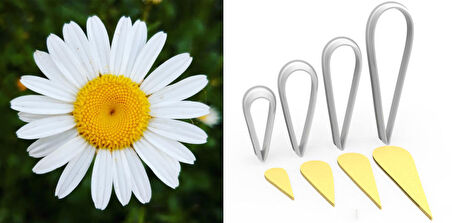 PAPATYA Çiçek Taç Kesici Set 4’lü – 5cm