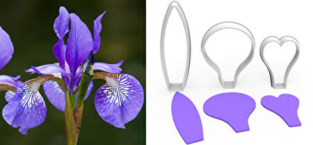 IRIS Çiçek Yapım Kesici Set 3’lü – 5cm