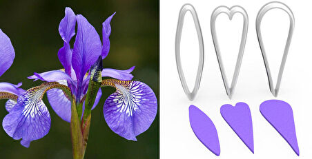 IRIS Çiçek Yaprak Yapım Kesici Set 3’lü – 5cm