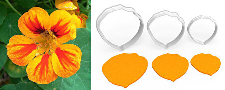 LATİN ÇİÇEĞİ Çiçek Kesici Set 3 Parça – 3cm