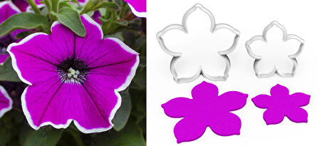 PETUNYA Çiçek Kesici Set 2’li – 4cm