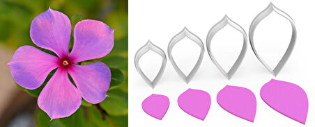 CEZAYİR MENEKŞE Çiçek Kesici Set 4’lü – 4cm