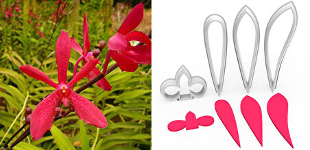 ARANTHERA ORKİDE Yapım Kesici Set 4lü - 5cm