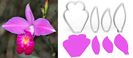 BAMBU ORKİDE Yapım Kesici Set 4’lü – 5cm