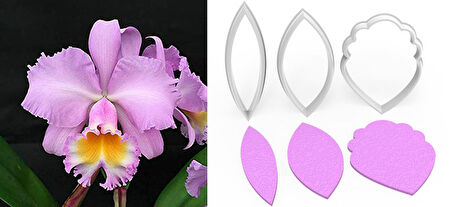 CATTLEYA ORKİDE Yapım Kesici Set 3’lü – 4cm