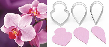 SİNGAPUR ORKİDE Yapım Kesici Set 3’lü – 3cm