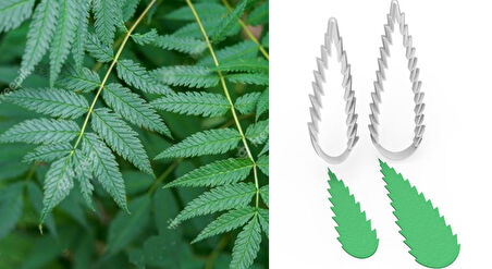 TIRTIKLI Yaprak Kesici Set 2’li – 7cm