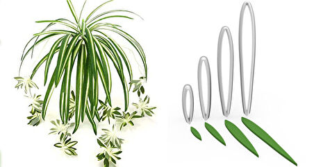 KURDELE ÇİÇEĞİ Yapım Kesici Set 4’lü – 6cm