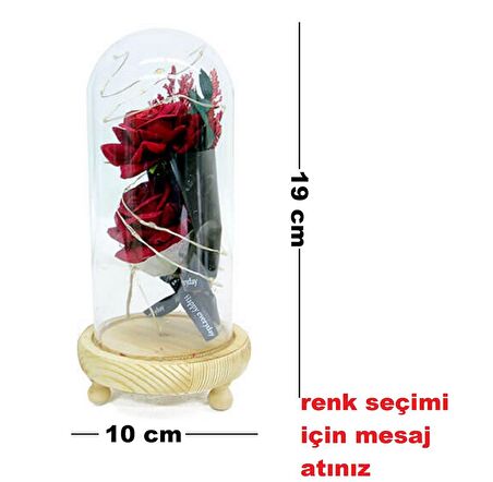 Aşk Ve Sevgi Anlatan  Solmayan Işıklı Gül