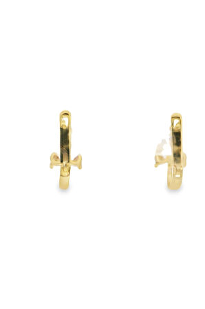 Cigold Taşlı Çocuk Küpesi 14 Ayar Altın 1.40 Gr OA-C1TB03029273