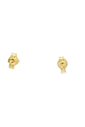 Cigold Taşlı Çocuk Küpesi 14 Ayar Altın 0.88 Gr OA-C1TB03029275