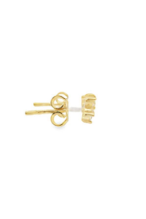 Cigold Taşlı Çocuk Küpesi 14 Ayar Altın 0.88 Gr OA-C1TB03029275