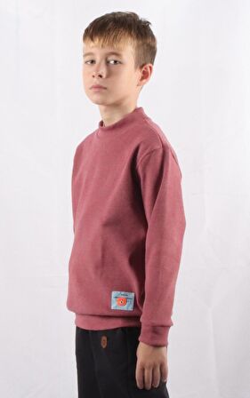 ALEXANDERGARDI BİSİKLET YAKA ÇOCUK SWEATSHIRT (C22-91700)