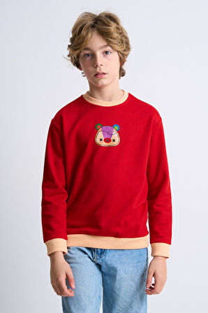 ALEXANDERGARDI DESENLİ ÇOCUK SWEATSHIRT (C23-0010U)