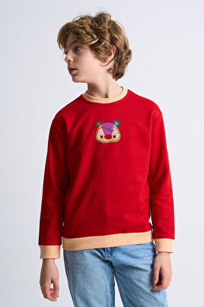 ALEXANDERGARDI DESENLİ ÇOCUK SWEATSHIRT (C23-0010U)