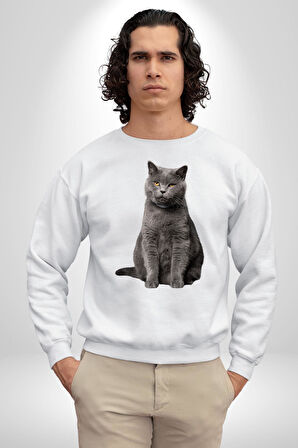 British Shorthair Kedi  Kadın Erkek Beyaz Sweatshirt 