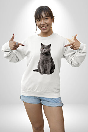 British Shorthair Kedi  Kadın Erkek Beyaz Sweatshirt 