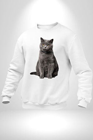 British Shorthair Kedi  Kadın Erkek Beyaz Sweatshirt 