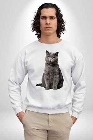 British Shorthair Kedi  Kadın Erkek Beyaz Sweatshirt 