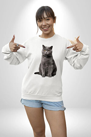 British Shorthair Kedi  Kadın Erkek Beyaz Sweatshirt 