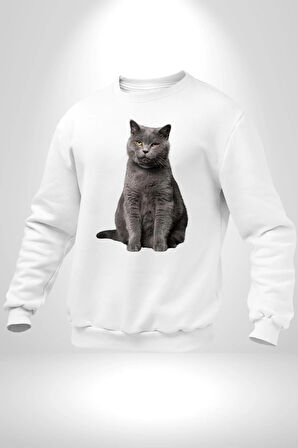 British Shorthair Kedi  Kadın Erkek Beyaz Sweatshirt 